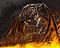 woh_an's Avatar